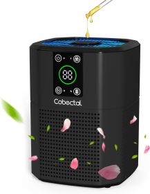 Air Purifier for Home Bedroom,  Room Air Cleaner with H13 True HEPA 3-in-1 Filter, Aroma Function & Sleep Mode, Desktop Small Air Purifier for Office