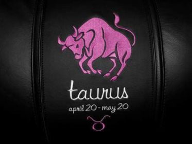Taurus Pink Logo Panel
