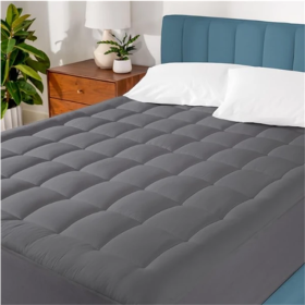 450g Filled Cotton Mattress (Option: Gray-Queen)